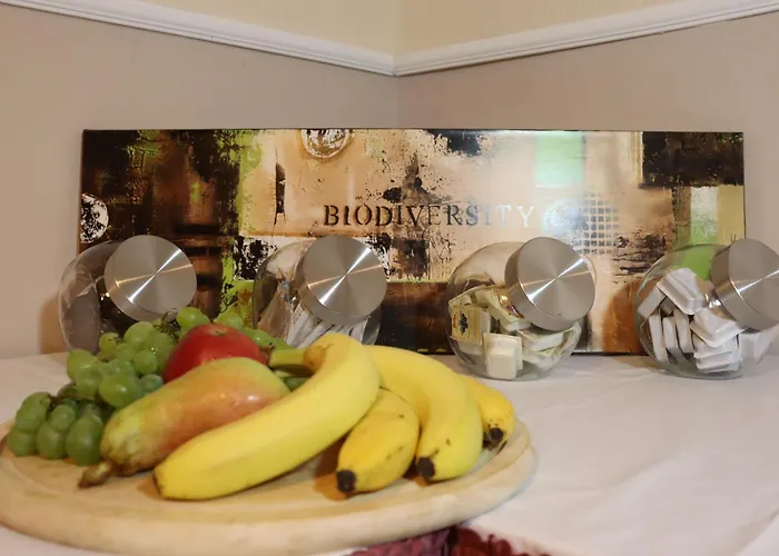 Lausitzer Seenland 3* Elsterheide